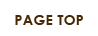 pagetop